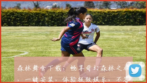 森林舞会下载，畅享奇幻森林之旅，一键安装，体验极致娱乐，不容错过