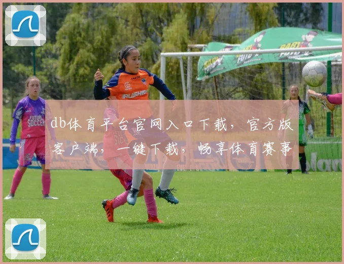 db体育平台官网入口下载，官方版客户端，一键下载，畅享体育赛事，体验非凡乐趣，三步到位