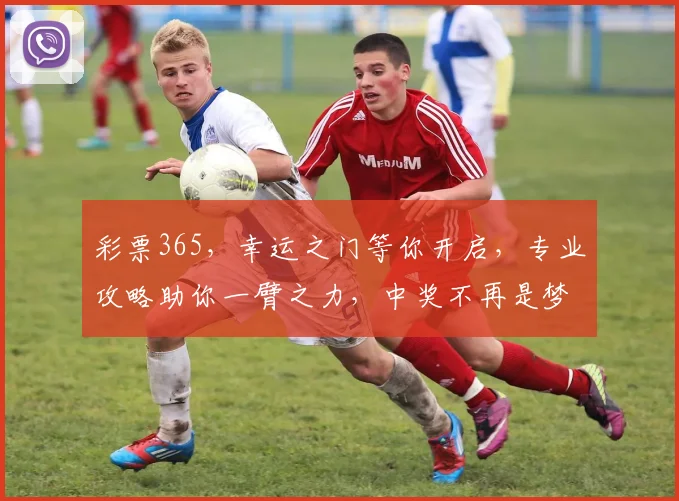 彩票365，幸运之门等你开启，专业攻略助你一臂之力，中奖不再是梦