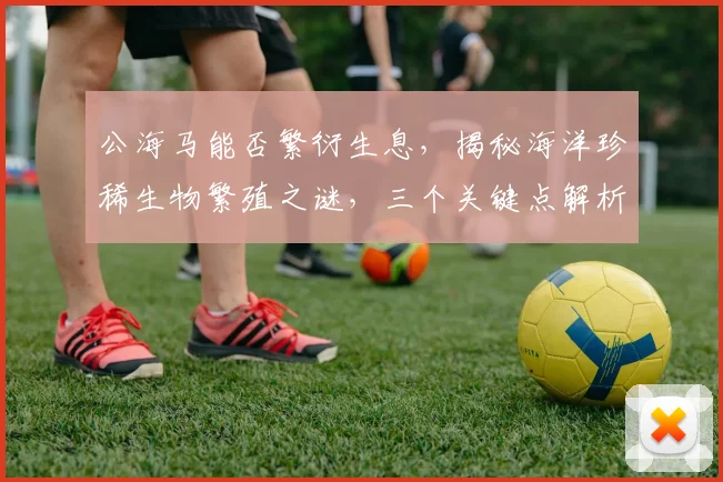 公海马能否繁衍生息，揭秘海洋珍稀生物繁殖之谜，三个关键点解析，不容错过