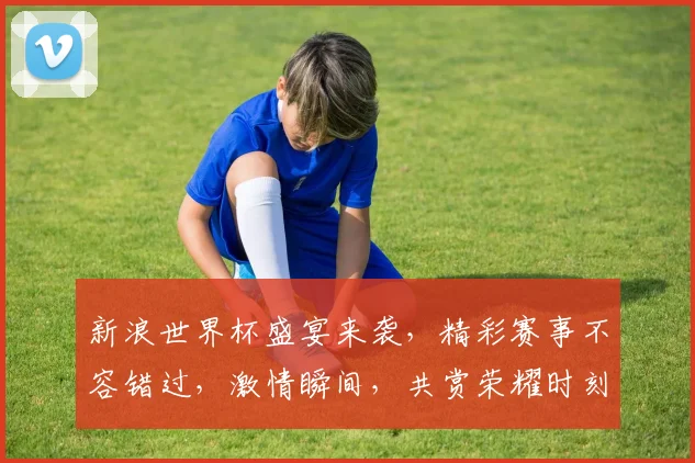 新浪世界杯盛宴来袭，精彩赛事不容错过，激情瞬间，共赏荣耀时刻，精彩不断
